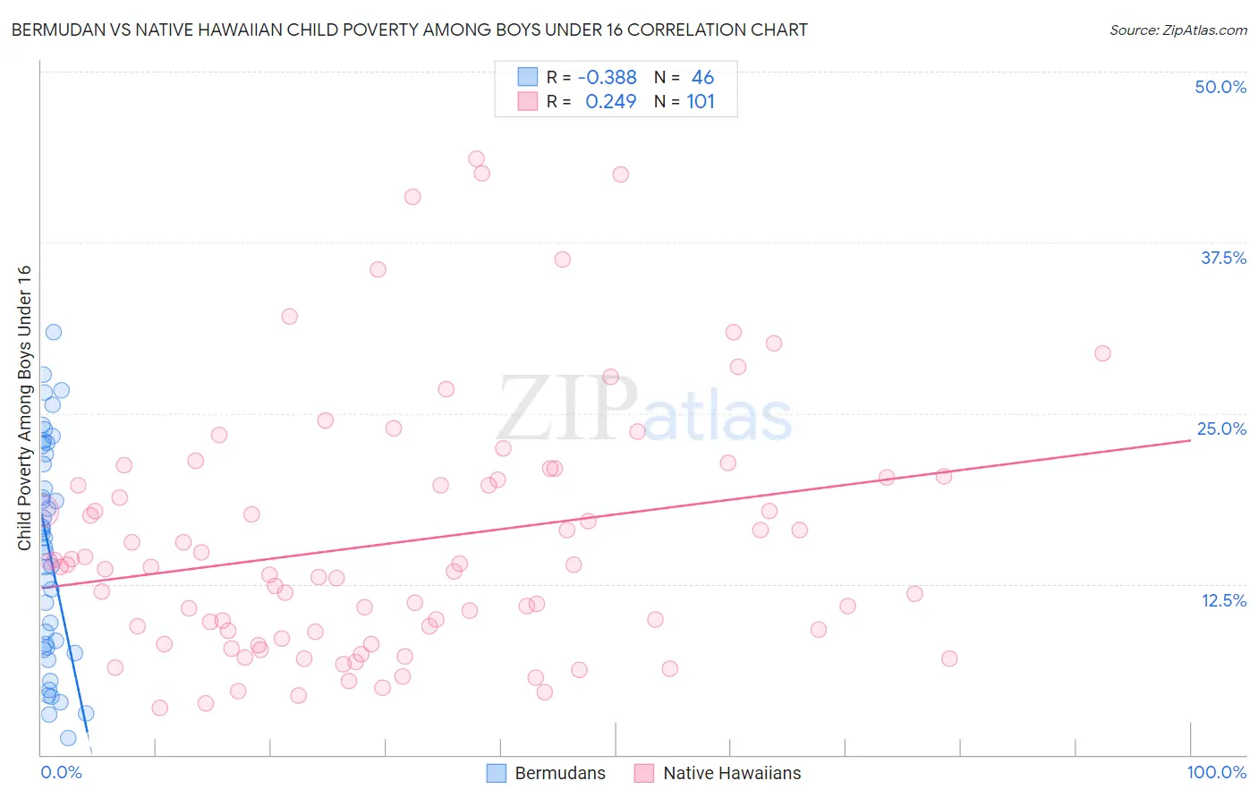 Bermudan vs Native Hawaiian Child Poverty Among Boys Under 16