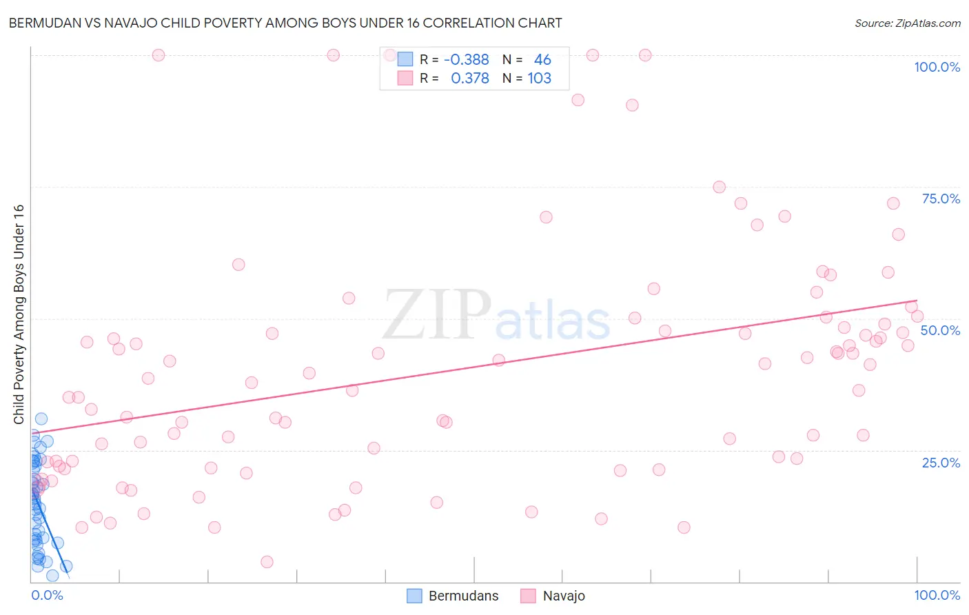 Bermudan vs Navajo Child Poverty Among Boys Under 16