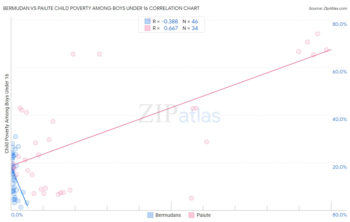 Bermudan vs Paiute Child Poverty Among Boys Under 16