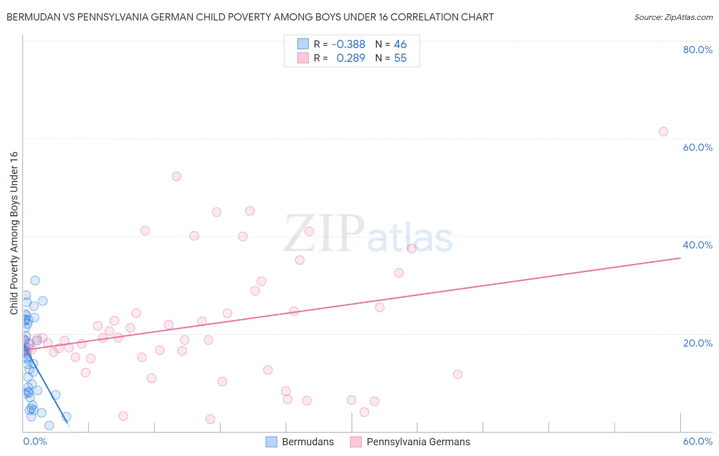 Bermudan vs Pennsylvania German Child Poverty Among Boys Under 16
