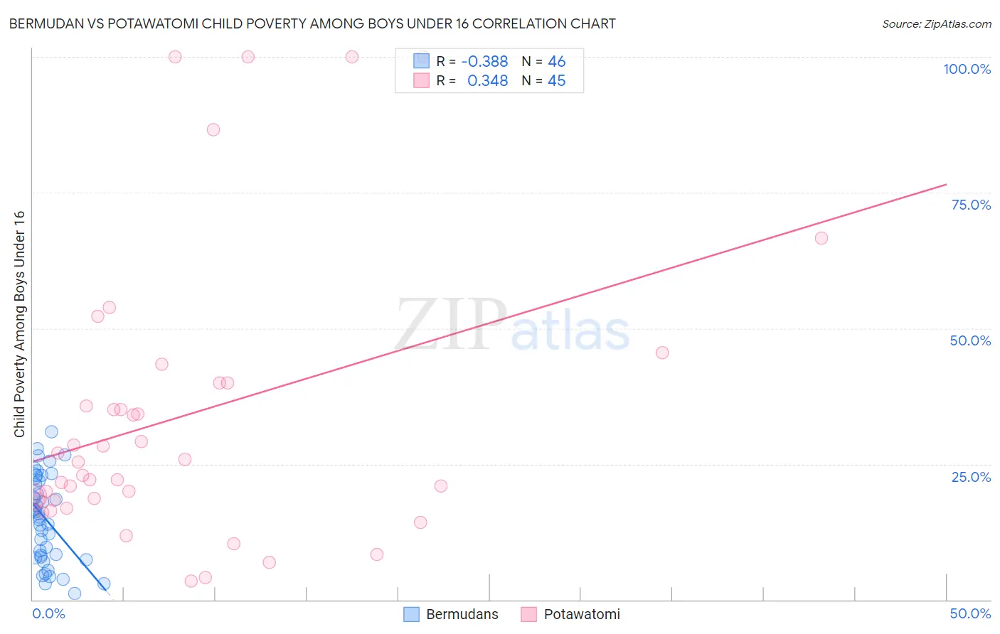 Bermudan vs Potawatomi Child Poverty Among Boys Under 16