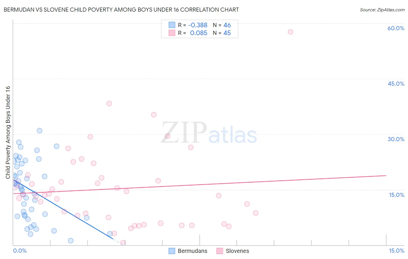 Bermudan vs Slovene Child Poverty Among Boys Under 16