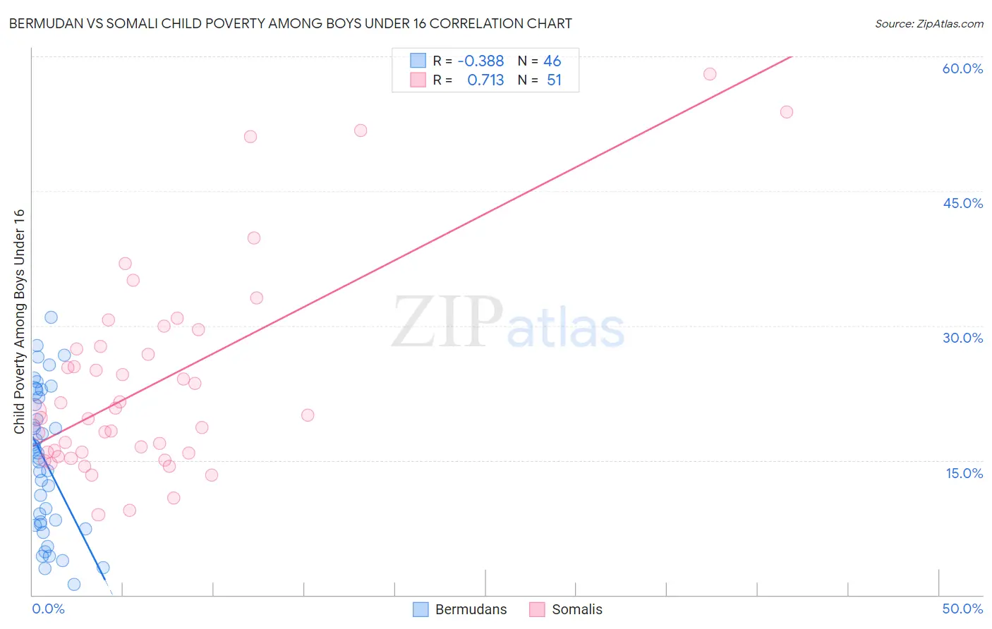 Bermudan vs Somali Child Poverty Among Boys Under 16