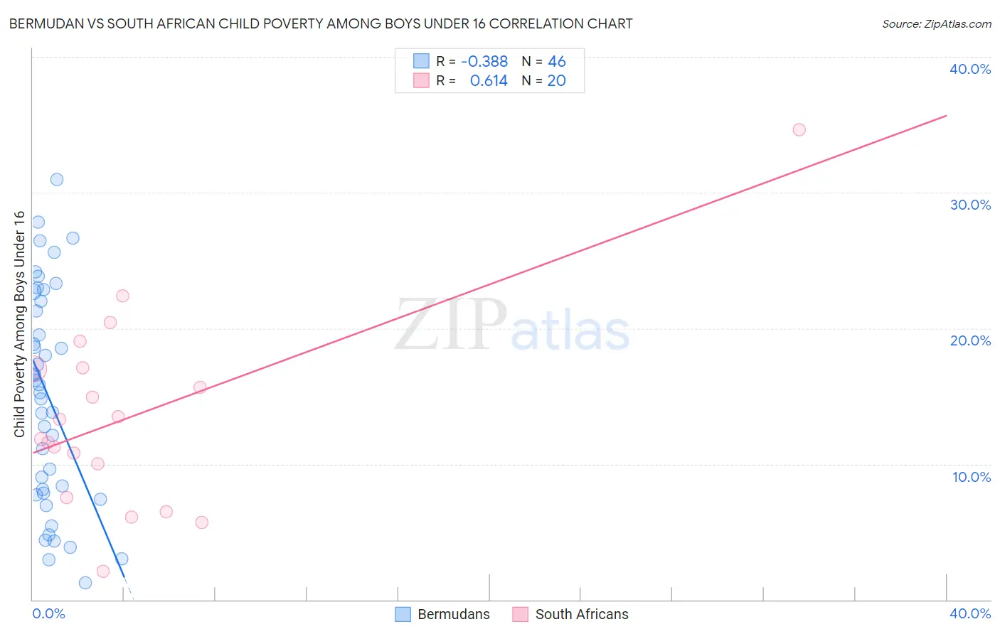 Bermudan vs South African Child Poverty Among Boys Under 16
