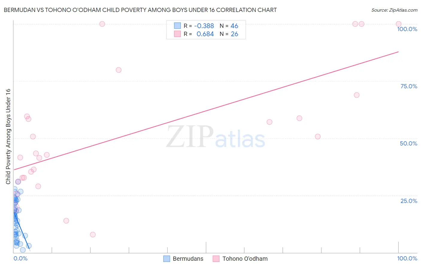 Bermudan vs Tohono O'odham Child Poverty Among Boys Under 16