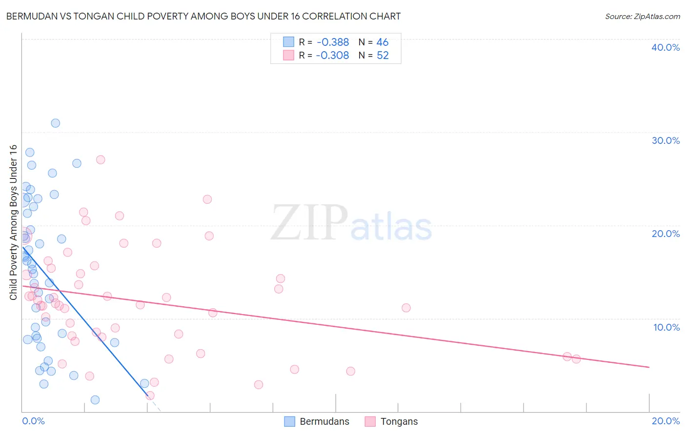 Bermudan vs Tongan Child Poverty Among Boys Under 16