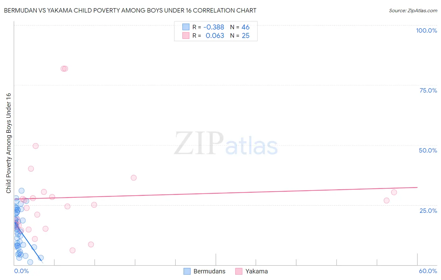 Bermudan vs Yakama Child Poverty Among Boys Under 16