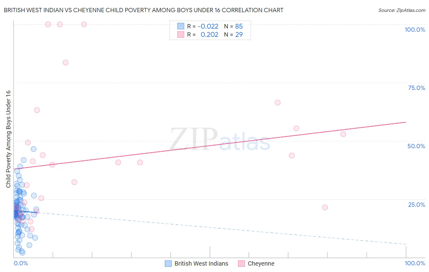 British West Indian vs Cheyenne Child Poverty Among Boys Under 16