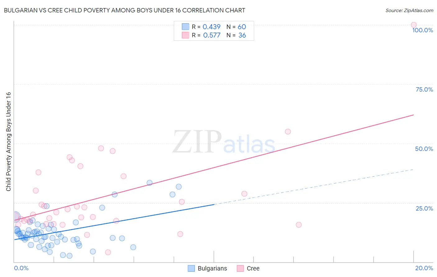 Bulgarian vs Cree Child Poverty Among Boys Under 16
