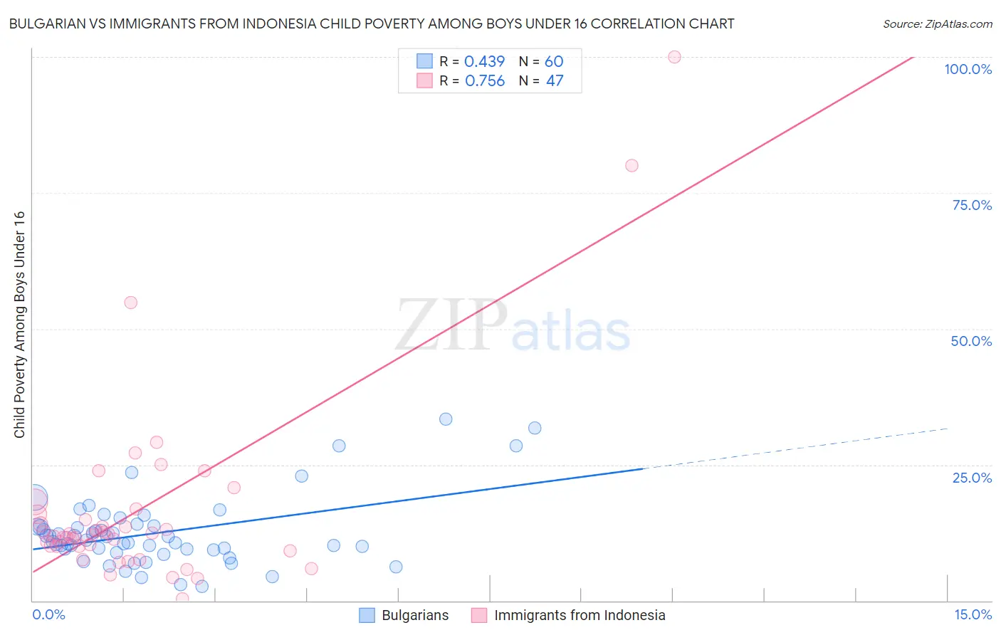 Bulgarian vs Immigrants from Indonesia Child Poverty Among Boys Under 16