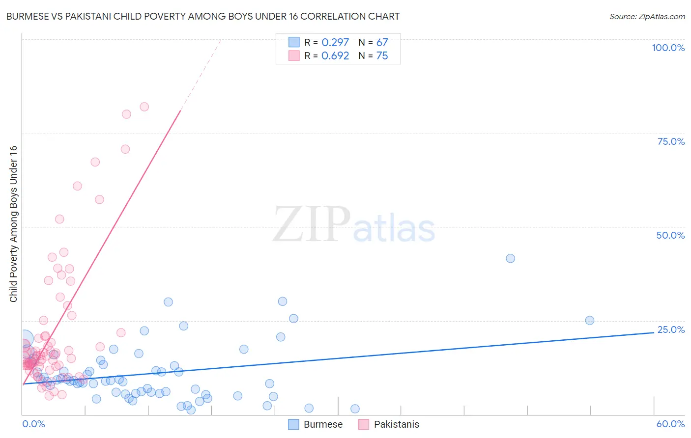 Burmese vs Pakistani Child Poverty Among Boys Under 16