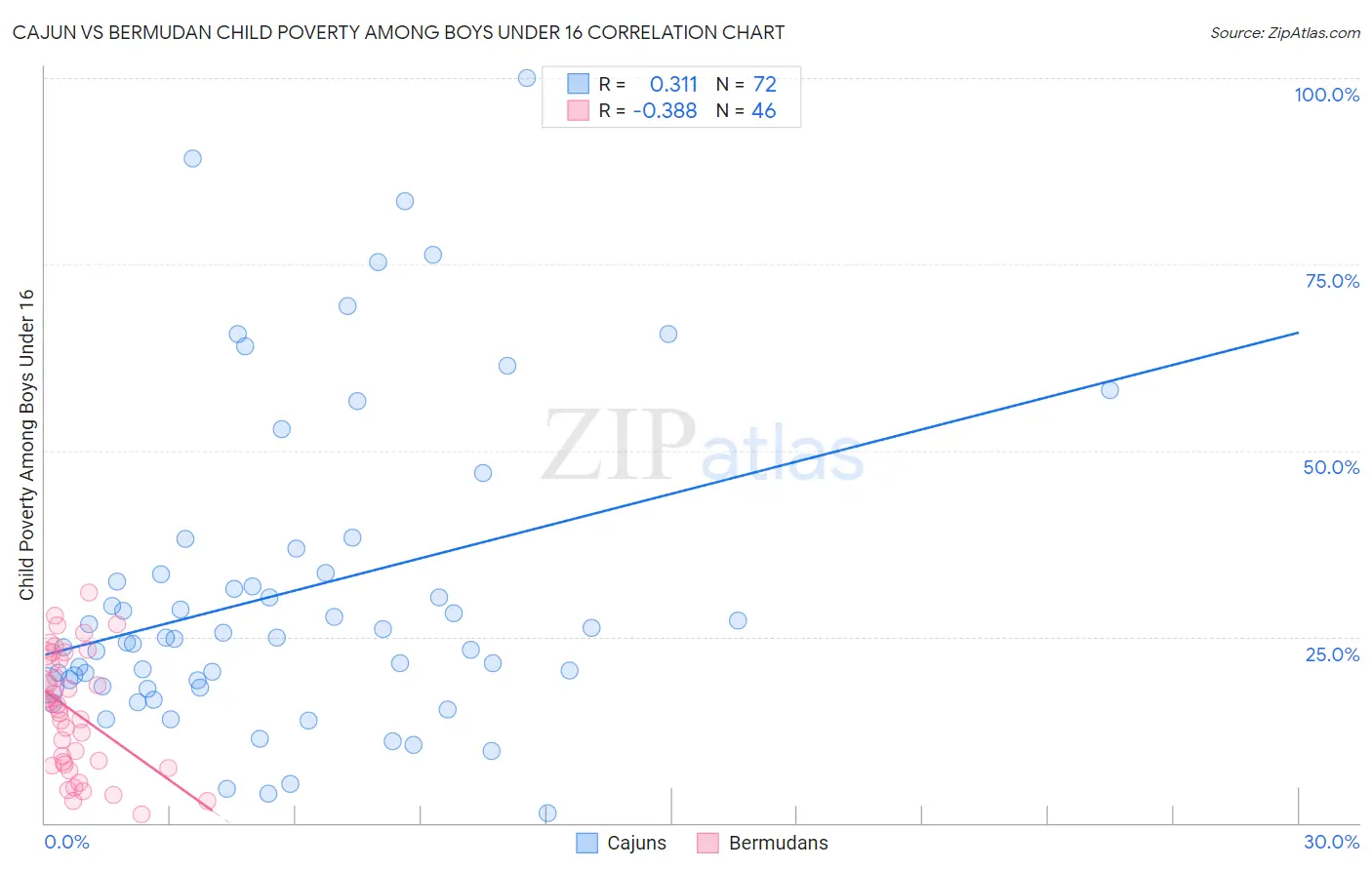 Cajun vs Bermudan Child Poverty Among Boys Under 16