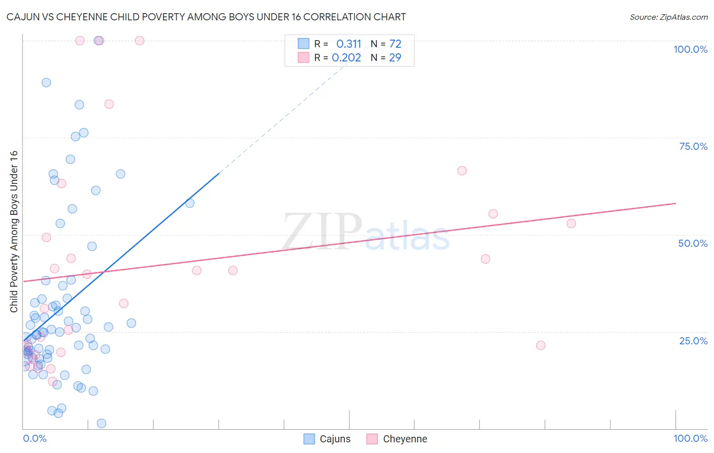 Cajun vs Cheyenne Child Poverty Among Boys Under 16