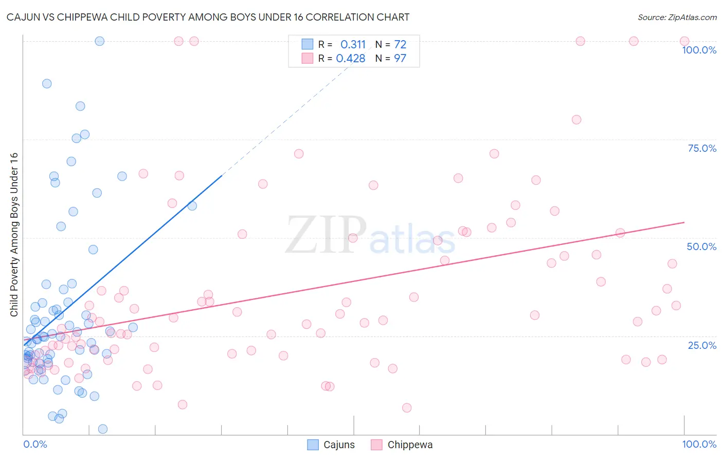 Cajun vs Chippewa Child Poverty Among Boys Under 16