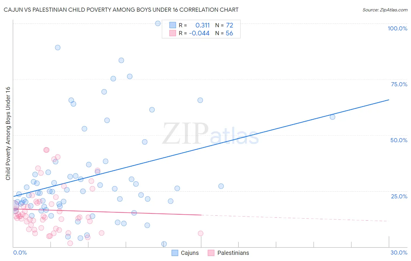 Cajun vs Palestinian Child Poverty Among Boys Under 16