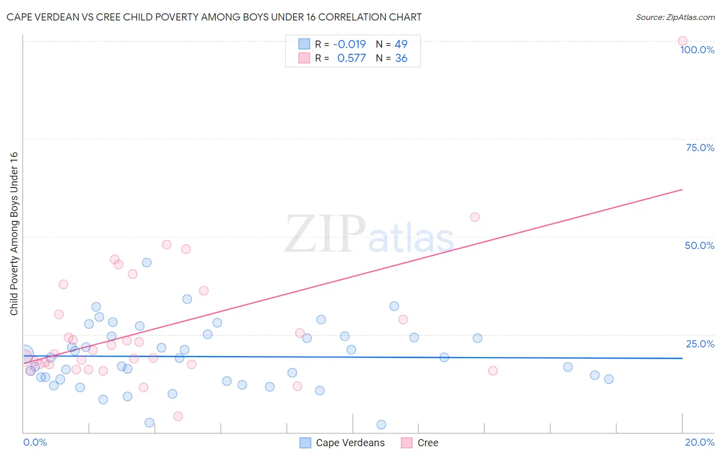Cape Verdean vs Cree Child Poverty Among Boys Under 16