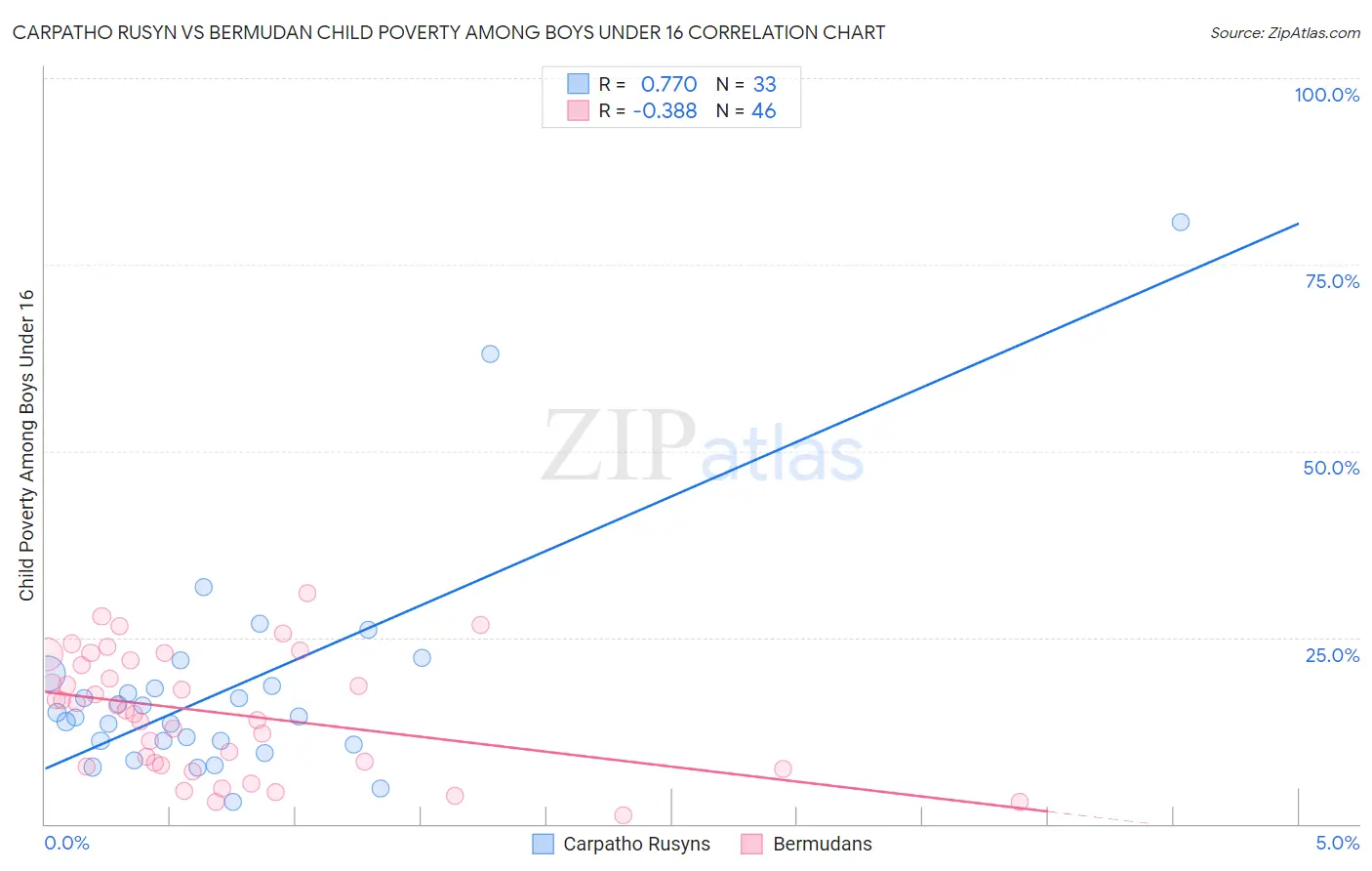 Carpatho Rusyn vs Bermudan Child Poverty Among Boys Under 16