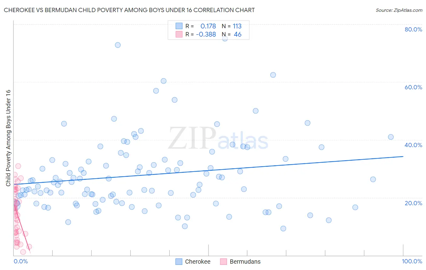 Cherokee vs Bermudan Child Poverty Among Boys Under 16