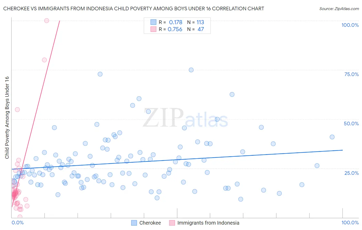 Cherokee vs Immigrants from Indonesia Child Poverty Among Boys Under 16