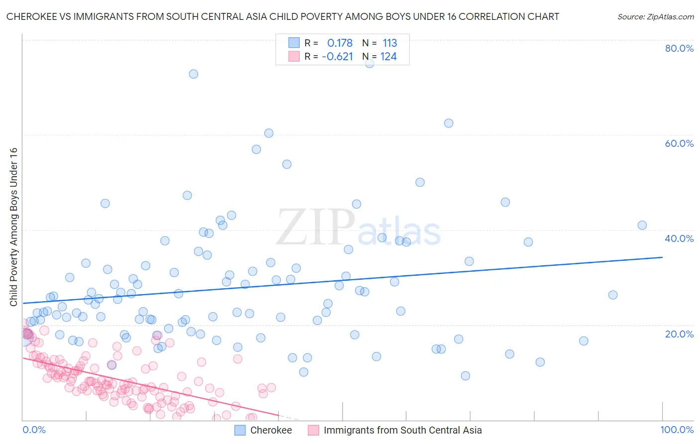 Cherokee vs Immigrants from South Central Asia Child Poverty Among Boys Under 16