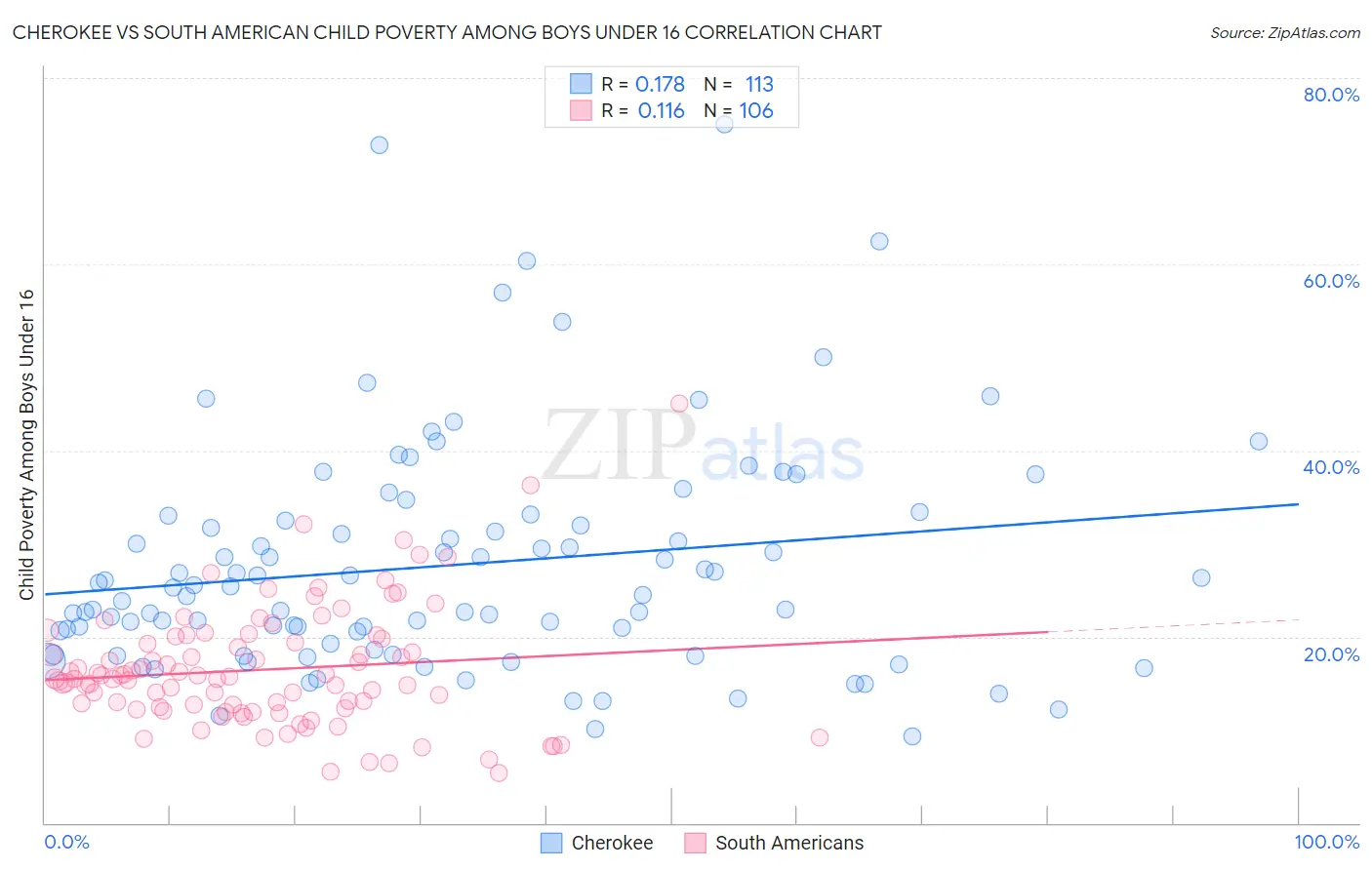 Cherokee vs South American Child Poverty Among Boys Under 16