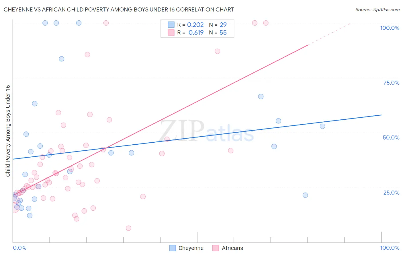 Cheyenne vs African Child Poverty Among Boys Under 16