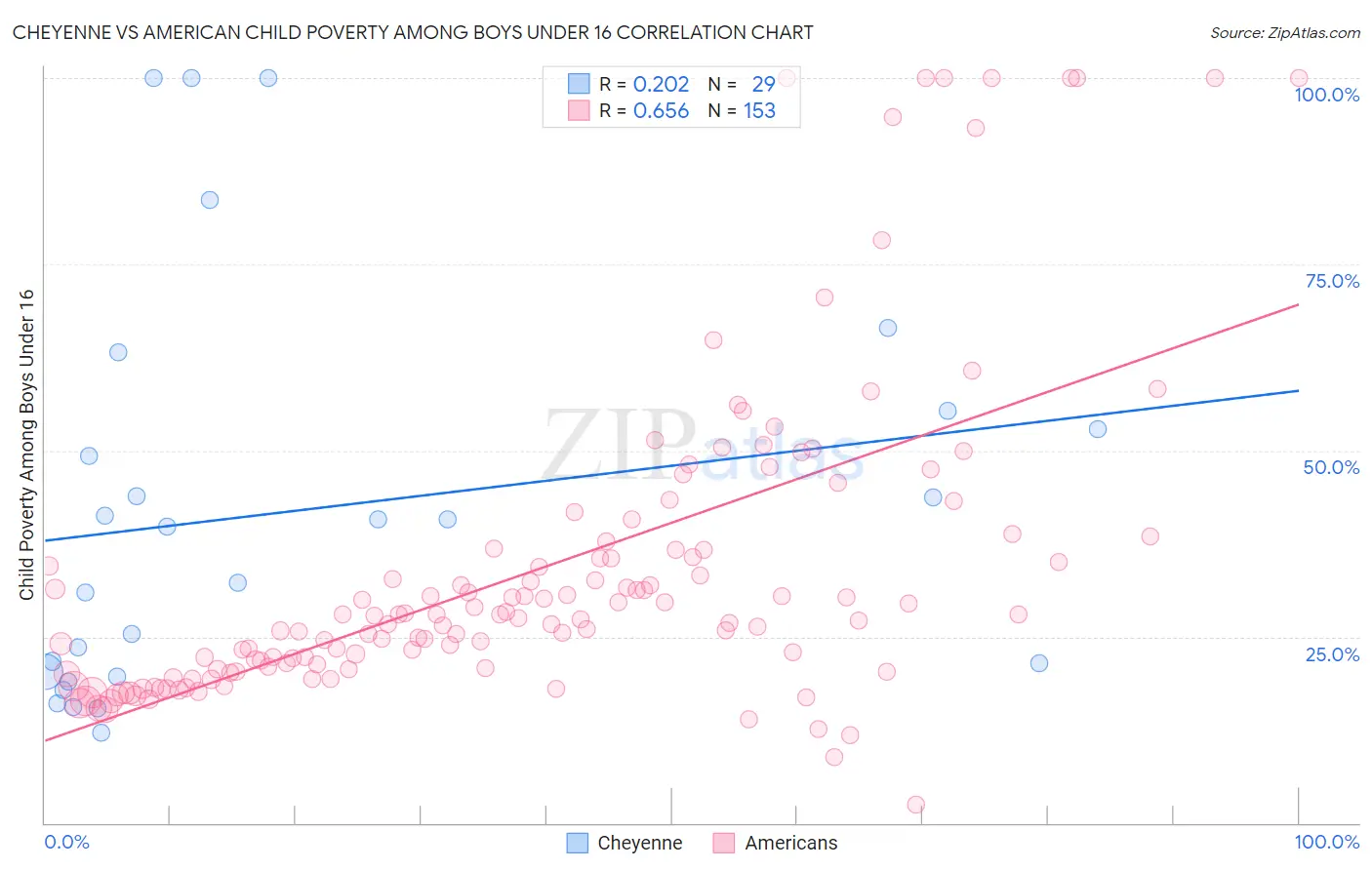 Cheyenne vs American Child Poverty Among Boys Under 16