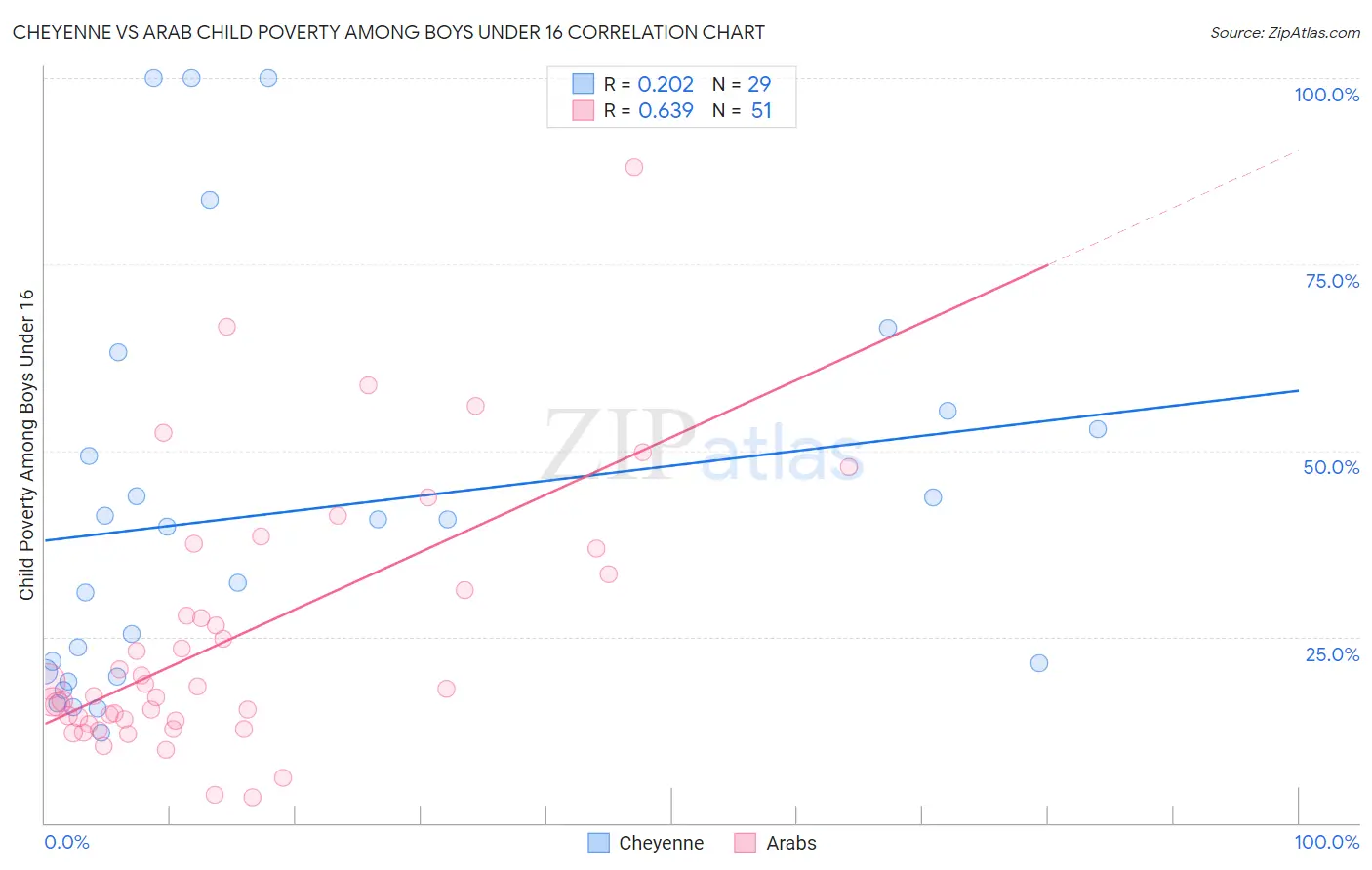 Cheyenne vs Arab Child Poverty Among Boys Under 16