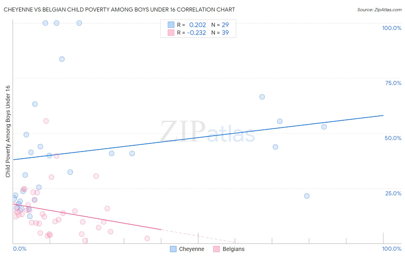 Cheyenne vs Belgian Child Poverty Among Boys Under 16