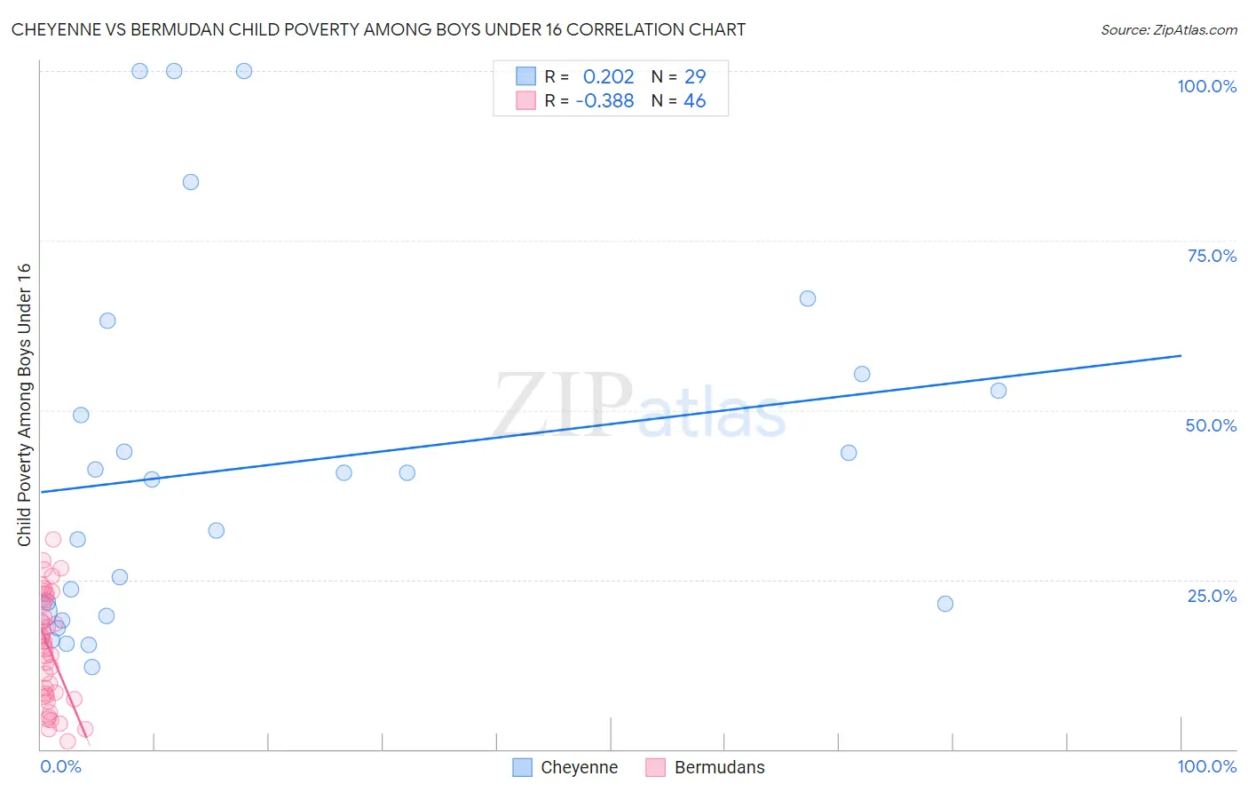 Cheyenne vs Bermudan Child Poverty Among Boys Under 16