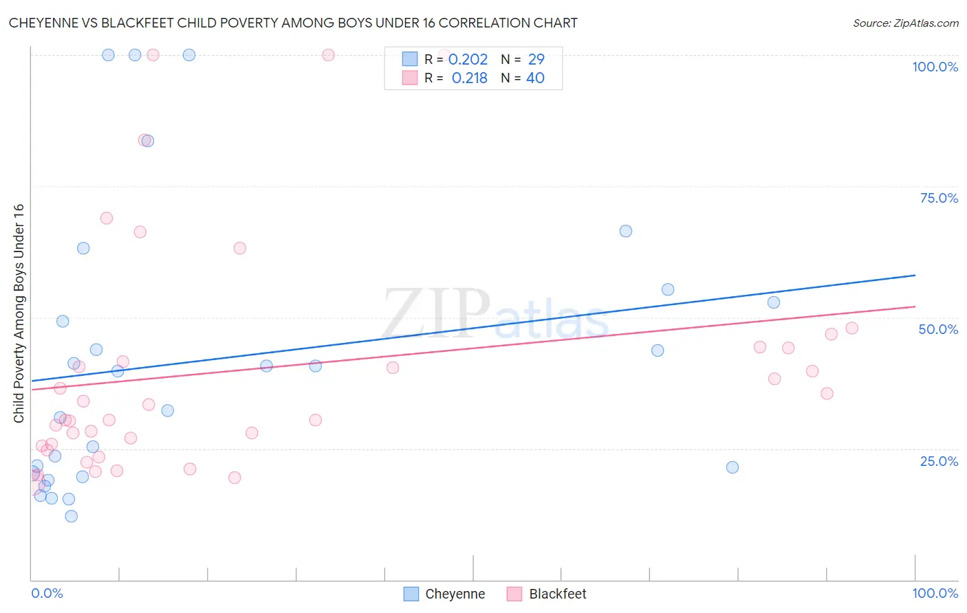 Cheyenne vs Blackfeet Child Poverty Among Boys Under 16