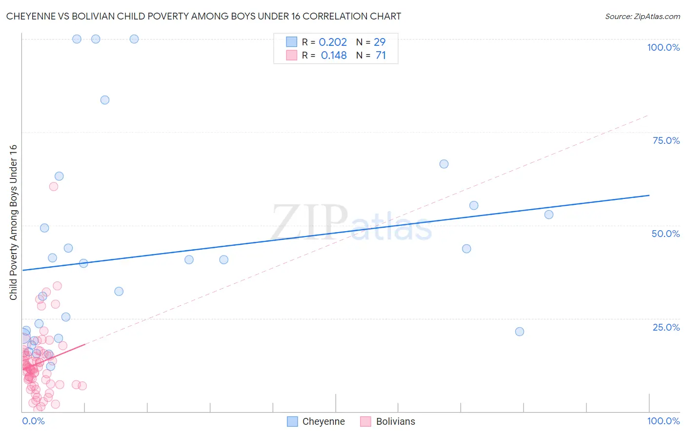 Cheyenne vs Bolivian Child Poverty Among Boys Under 16