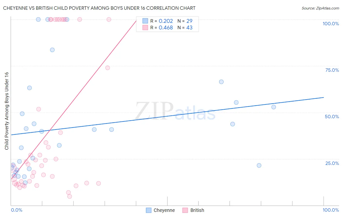 Cheyenne vs British Child Poverty Among Boys Under 16