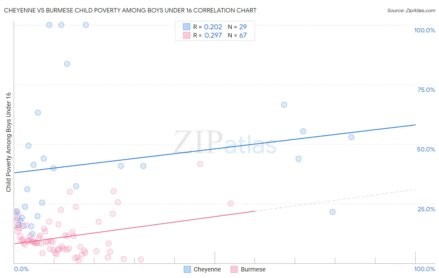 Cheyenne vs Burmese Child Poverty Among Boys Under 16