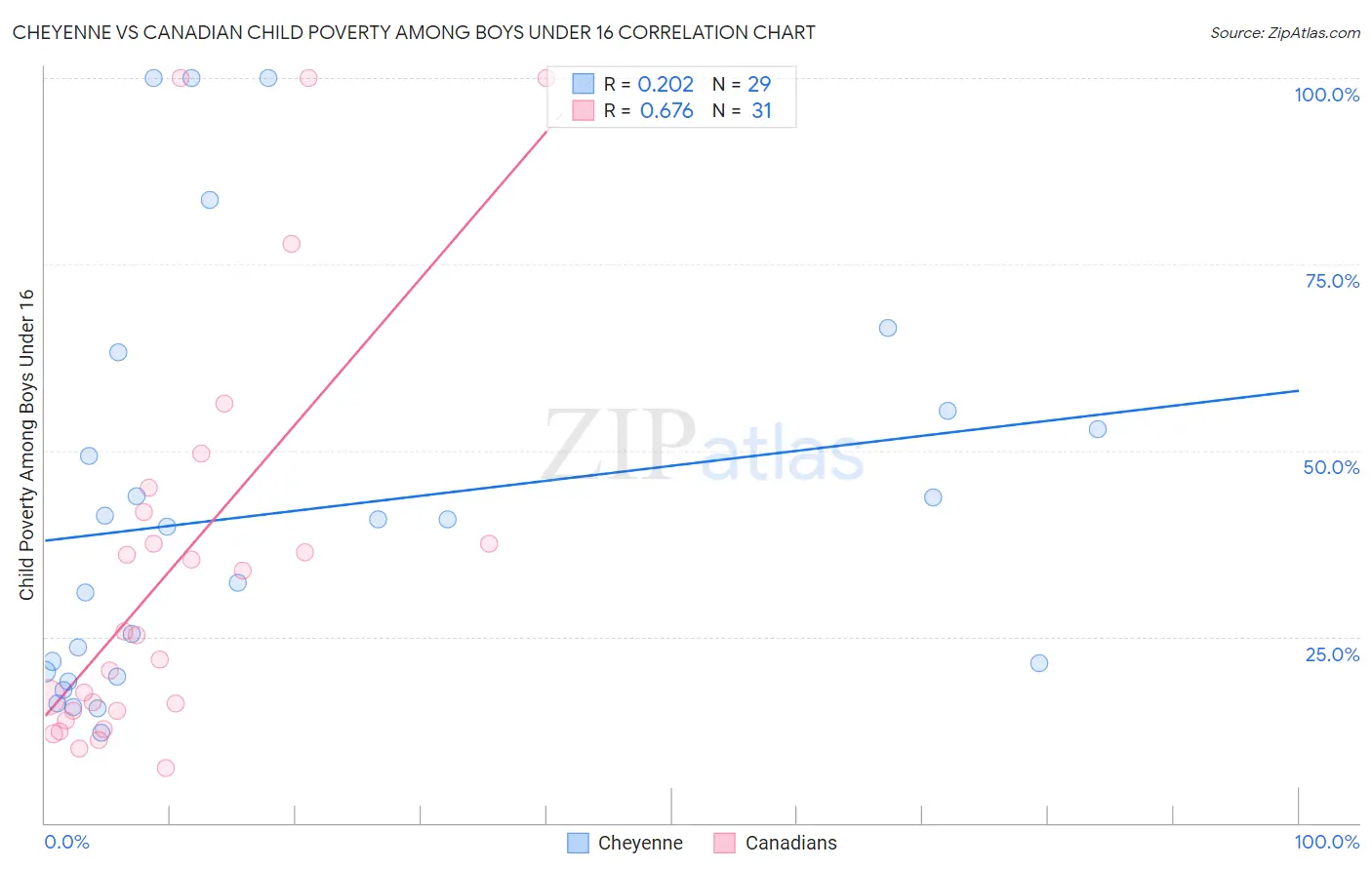 Cheyenne vs Canadian Child Poverty Among Boys Under 16