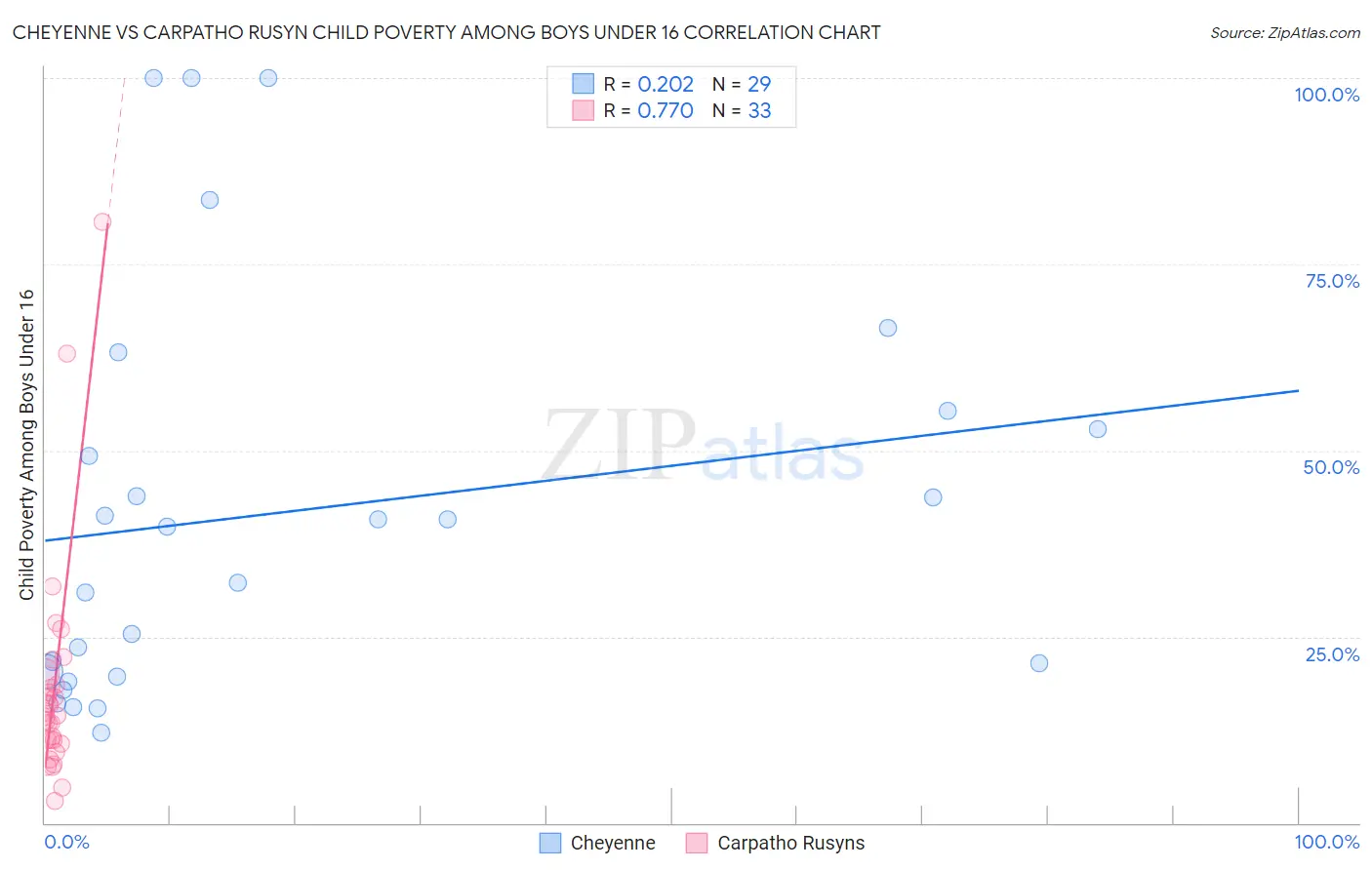 Cheyenne vs Carpatho Rusyn Child Poverty Among Boys Under 16