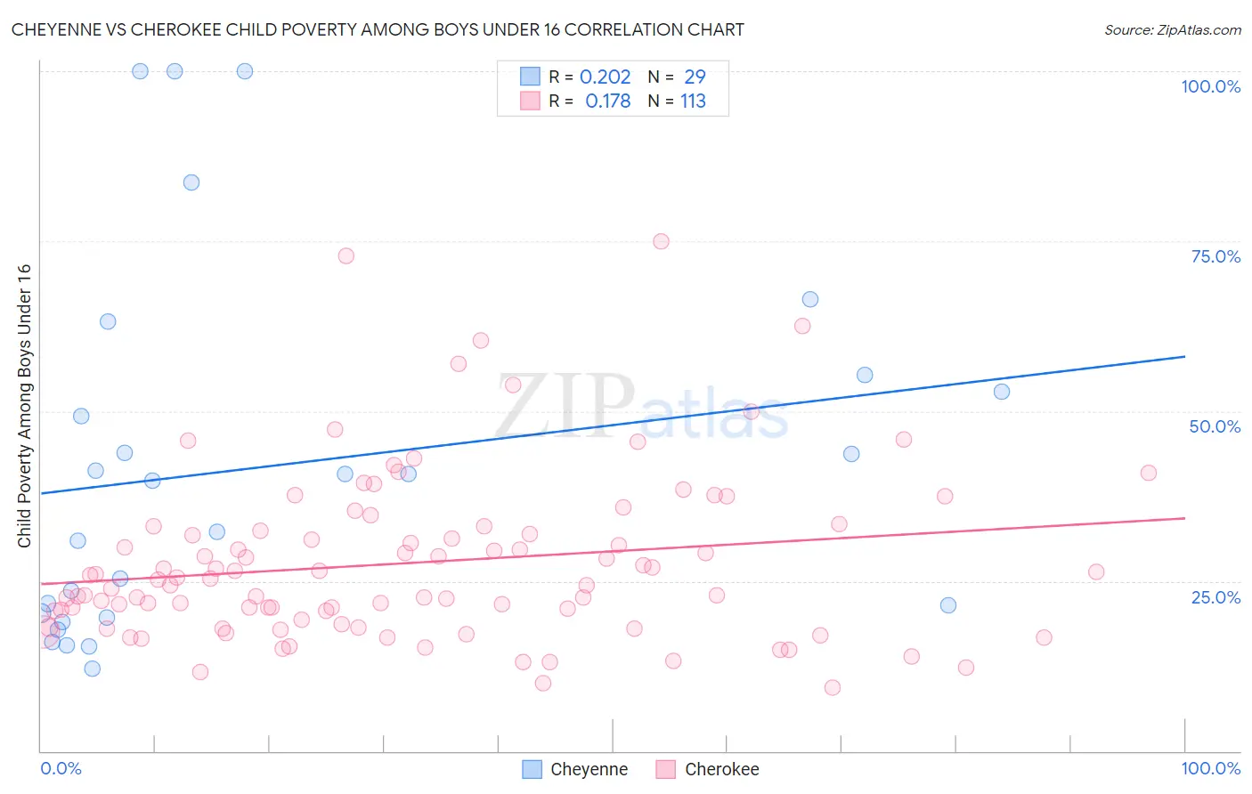 Cheyenne vs Cherokee Child Poverty Among Boys Under 16