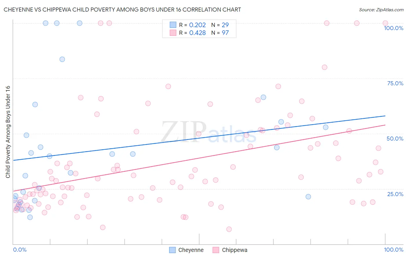 Cheyenne vs Chippewa Child Poverty Among Boys Under 16