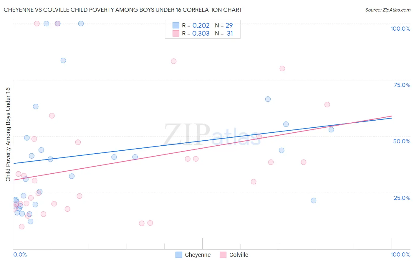 Cheyenne vs Colville Child Poverty Among Boys Under 16