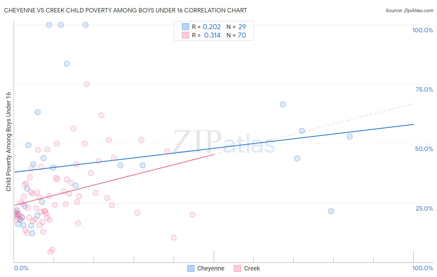 Cheyenne vs Creek Child Poverty Among Boys Under 16