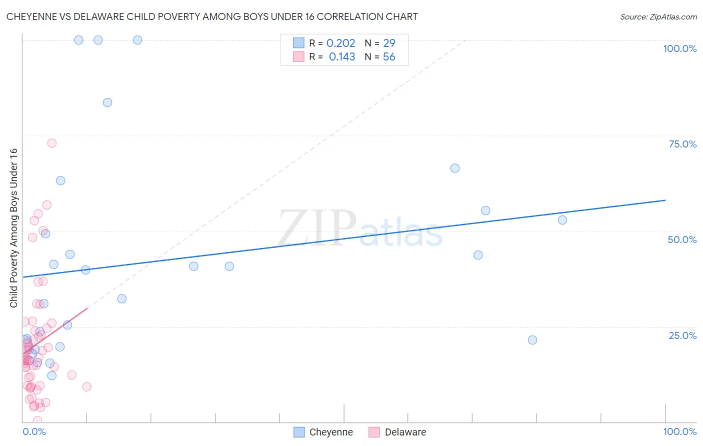 Cheyenne vs Delaware Child Poverty Among Boys Under 16