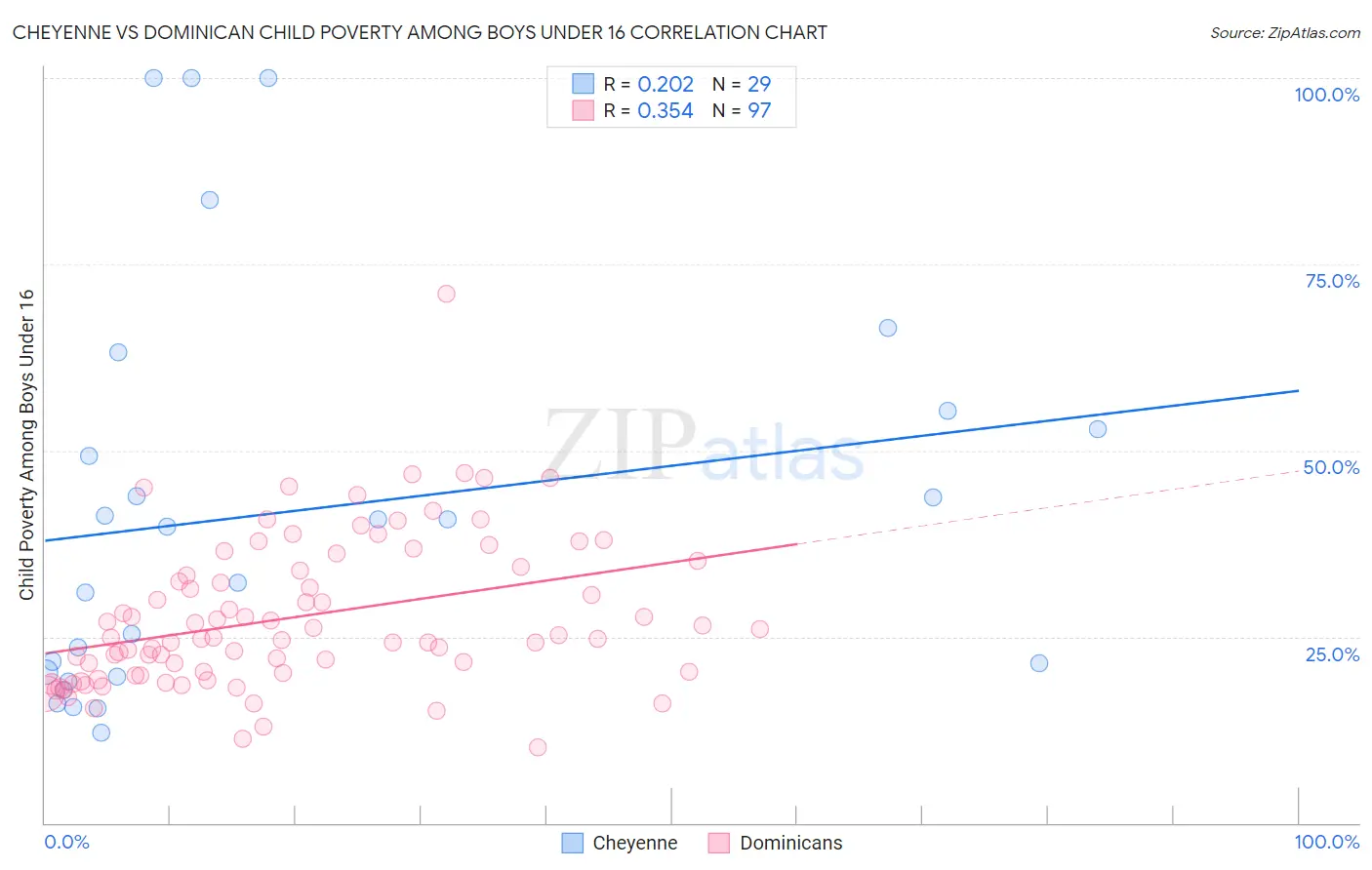 Cheyenne vs Dominican Child Poverty Among Boys Under 16