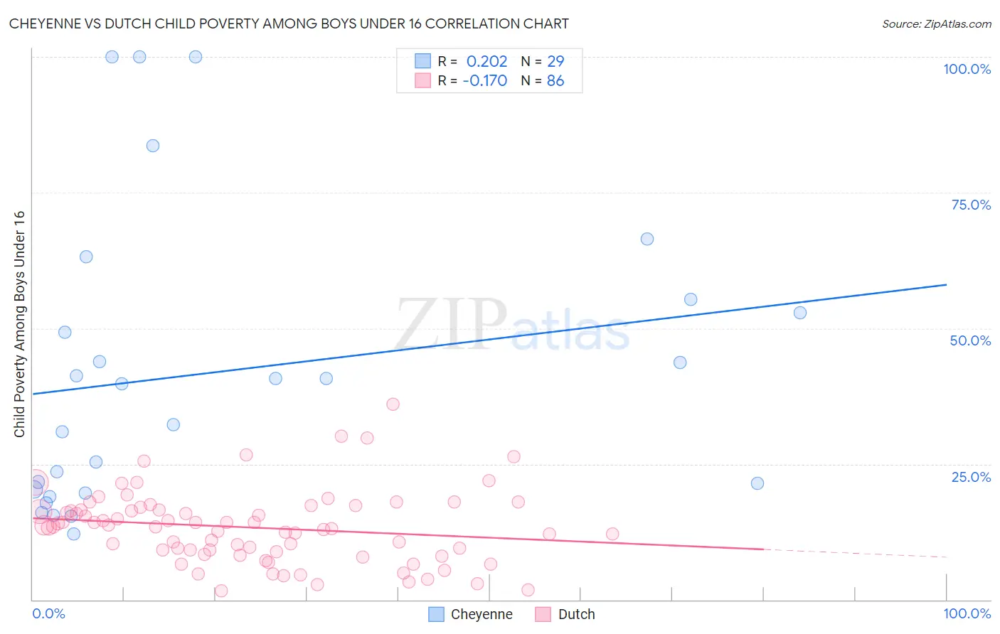 Cheyenne vs Dutch Child Poverty Among Boys Under 16