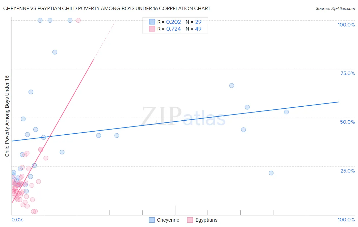 Cheyenne vs Egyptian Child Poverty Among Boys Under 16
