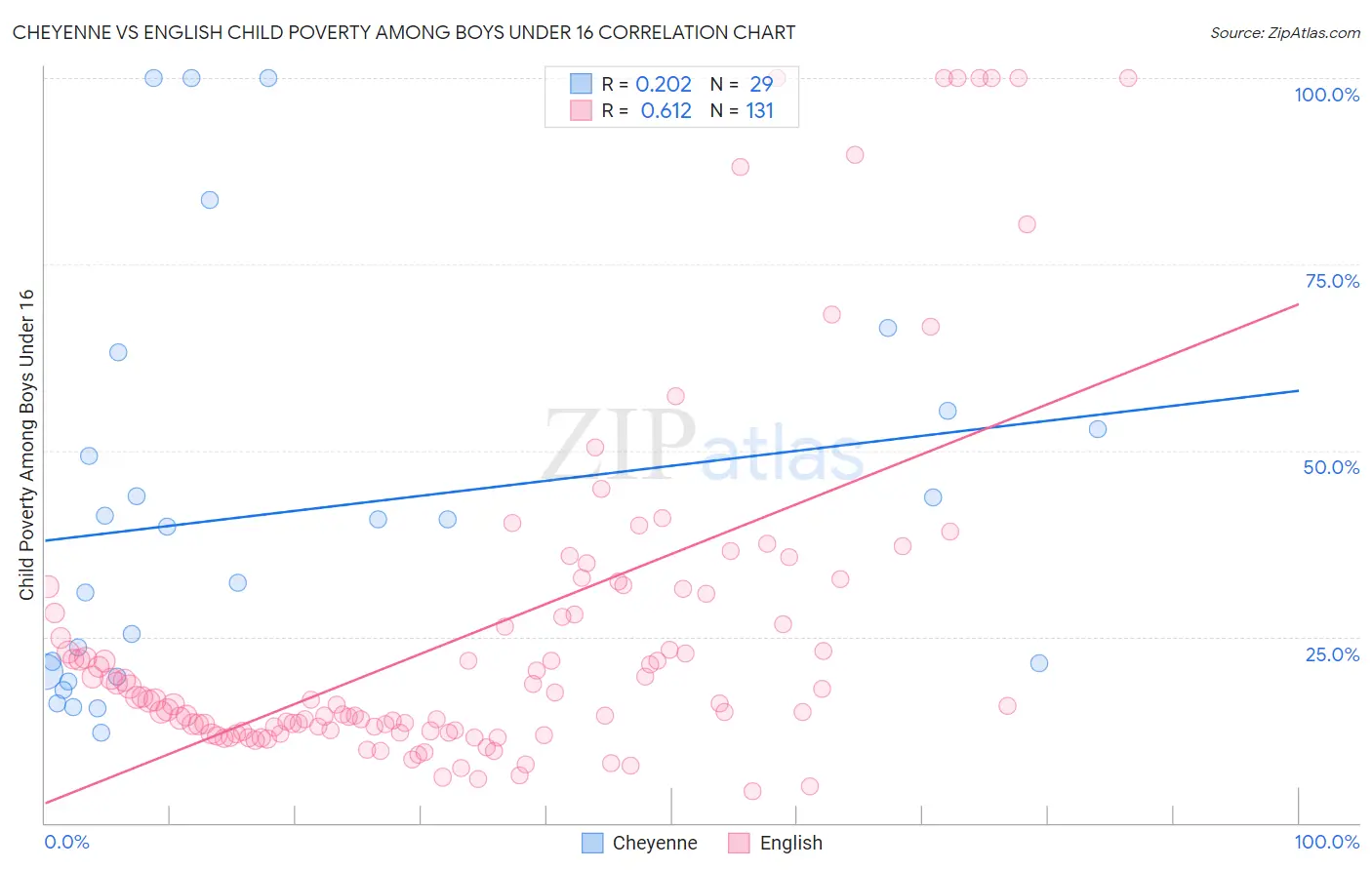 Cheyenne vs English Child Poverty Among Boys Under 16