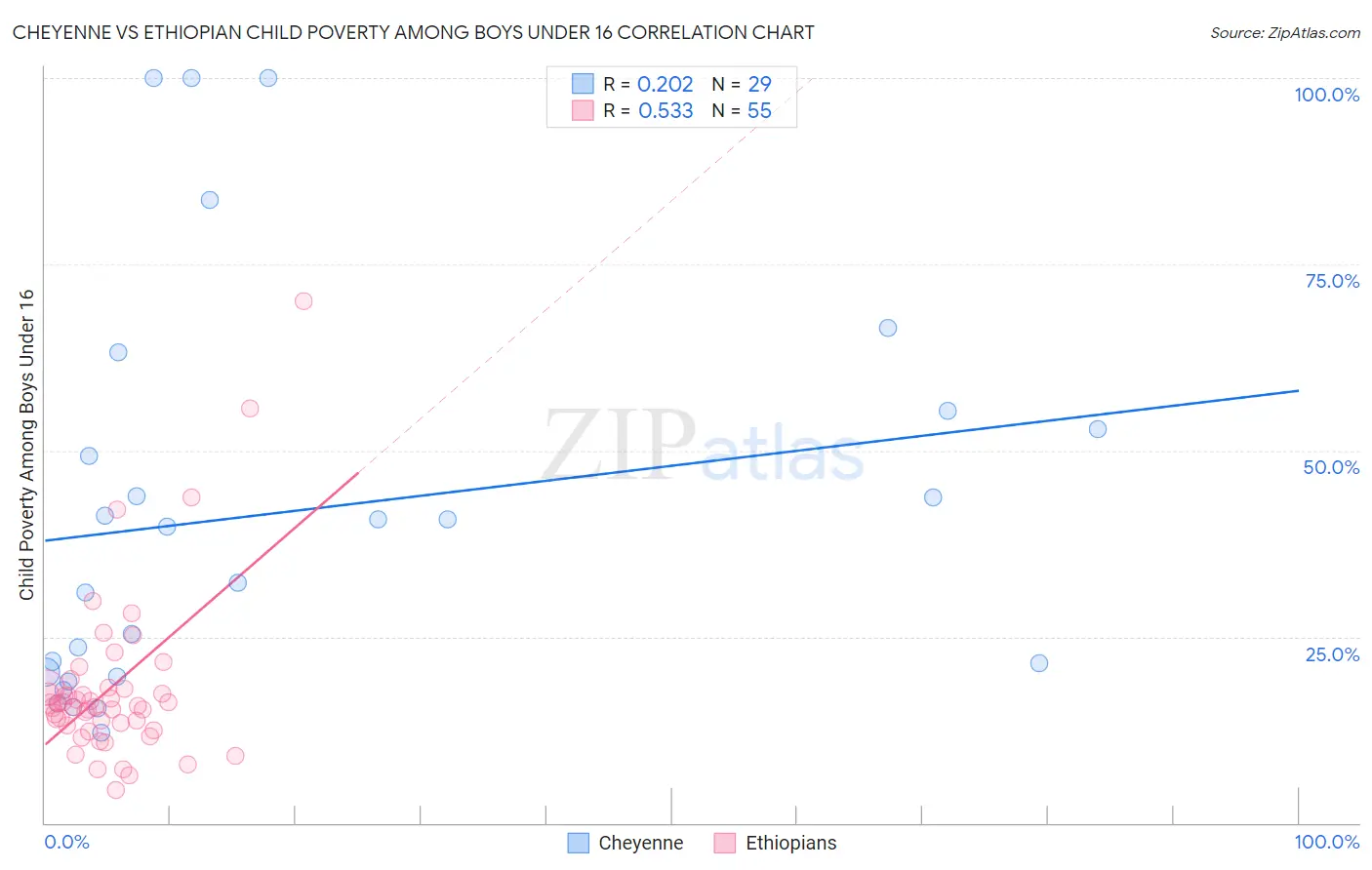 Cheyenne vs Ethiopian Child Poverty Among Boys Under 16