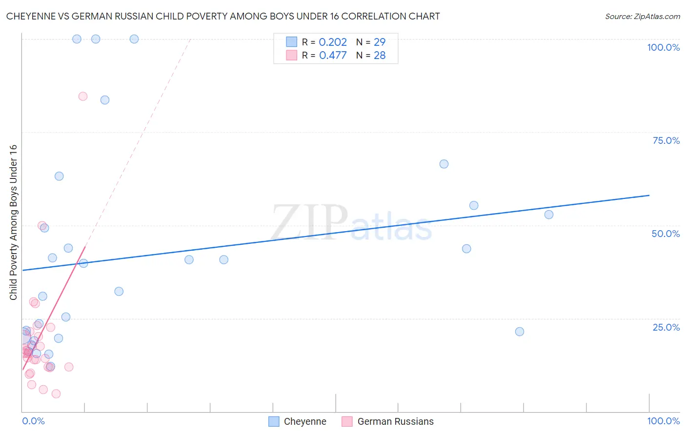 Cheyenne vs German Russian Child Poverty Among Boys Under 16