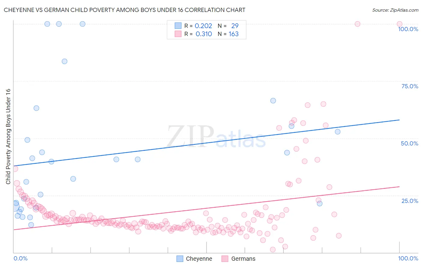 Cheyenne vs German Child Poverty Among Boys Under 16