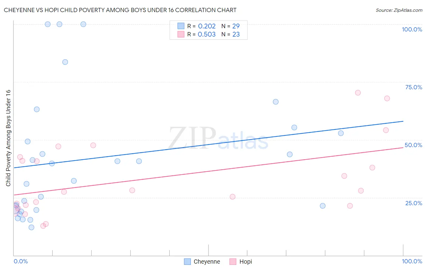 Cheyenne vs Hopi Child Poverty Among Boys Under 16