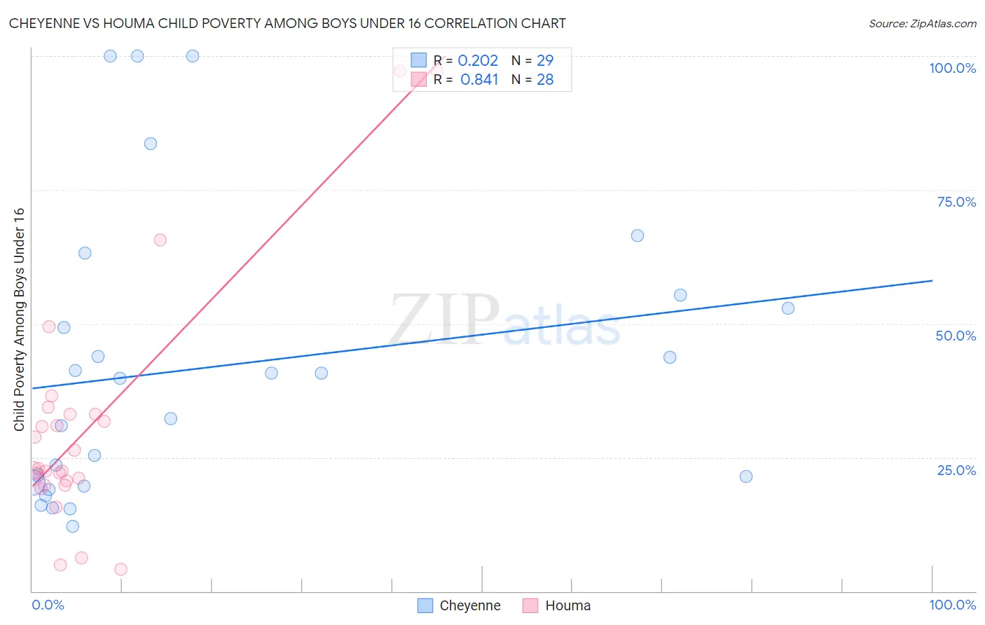 Cheyenne vs Houma Child Poverty Among Boys Under 16